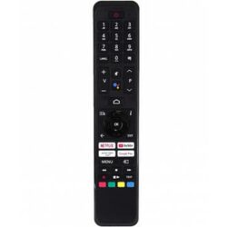 Afstandsbediening rc45160